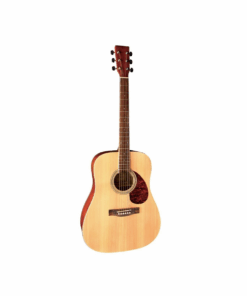 Gewa VGS D-10 Natural akustična gitara