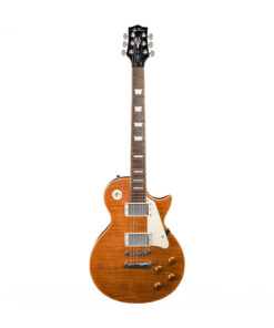 Jay Turser JT-220D električna gitara