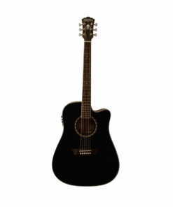 Washburn WD10 CE elektro-akustična gitara