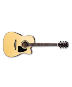 IBANEZ AW70ECE NT