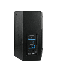 Alternative view of PAS-210A MK3 2-Way 300W RMS