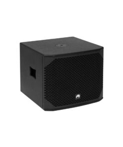 AZX-112 PA Subwoofer